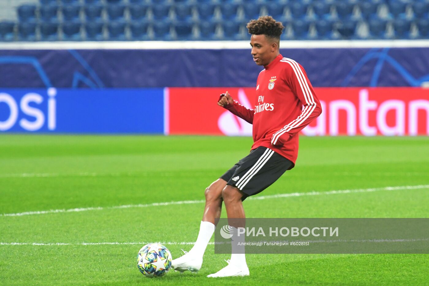 Футбол. Лига чемпионов. Тренировка ФК "Бенфика"