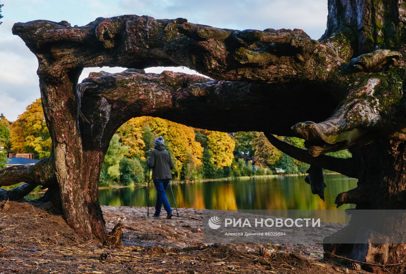 Осень в Санкт-Петербурге