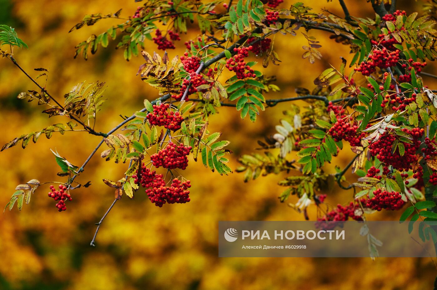 Осень в Санкт-Петербурге