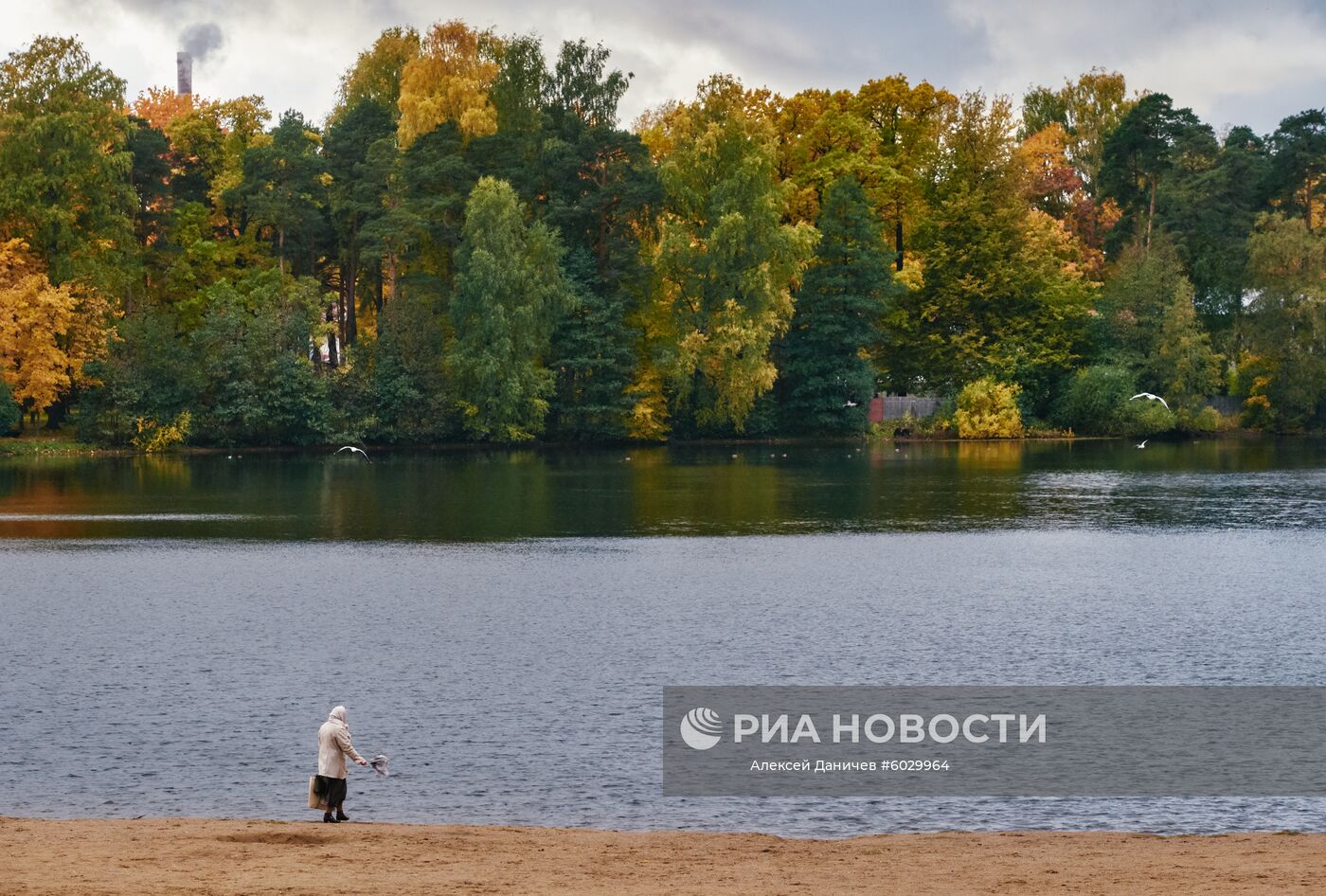 Суздальские озера в Санкт-Петербурге. Место: Россия, Санкт-Петербург. Автор: Алексей Даничев/РИА Новости. Осень в Санкт-Петербурге
