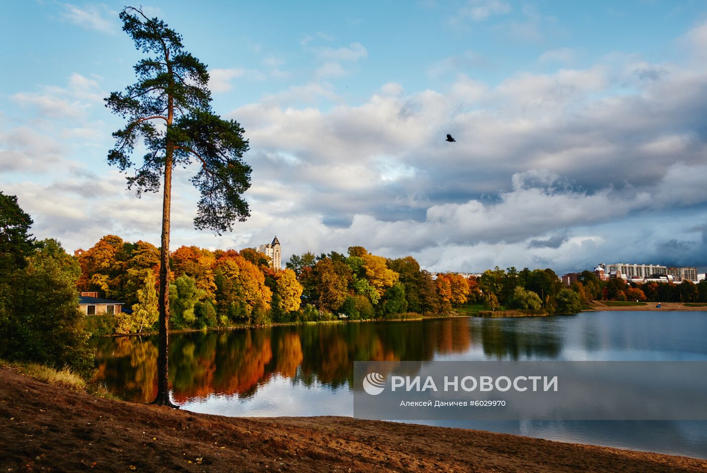 Суздальские озера в Санкт-Петербурге. Место: Россия, Санкт-Петербург. Автор: Алексей Даничев/РИА Новости. Осень в Санкт-Петербурге