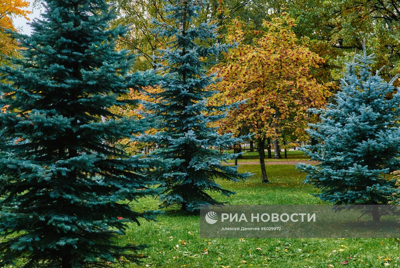Осень в Санкт-Петербурге