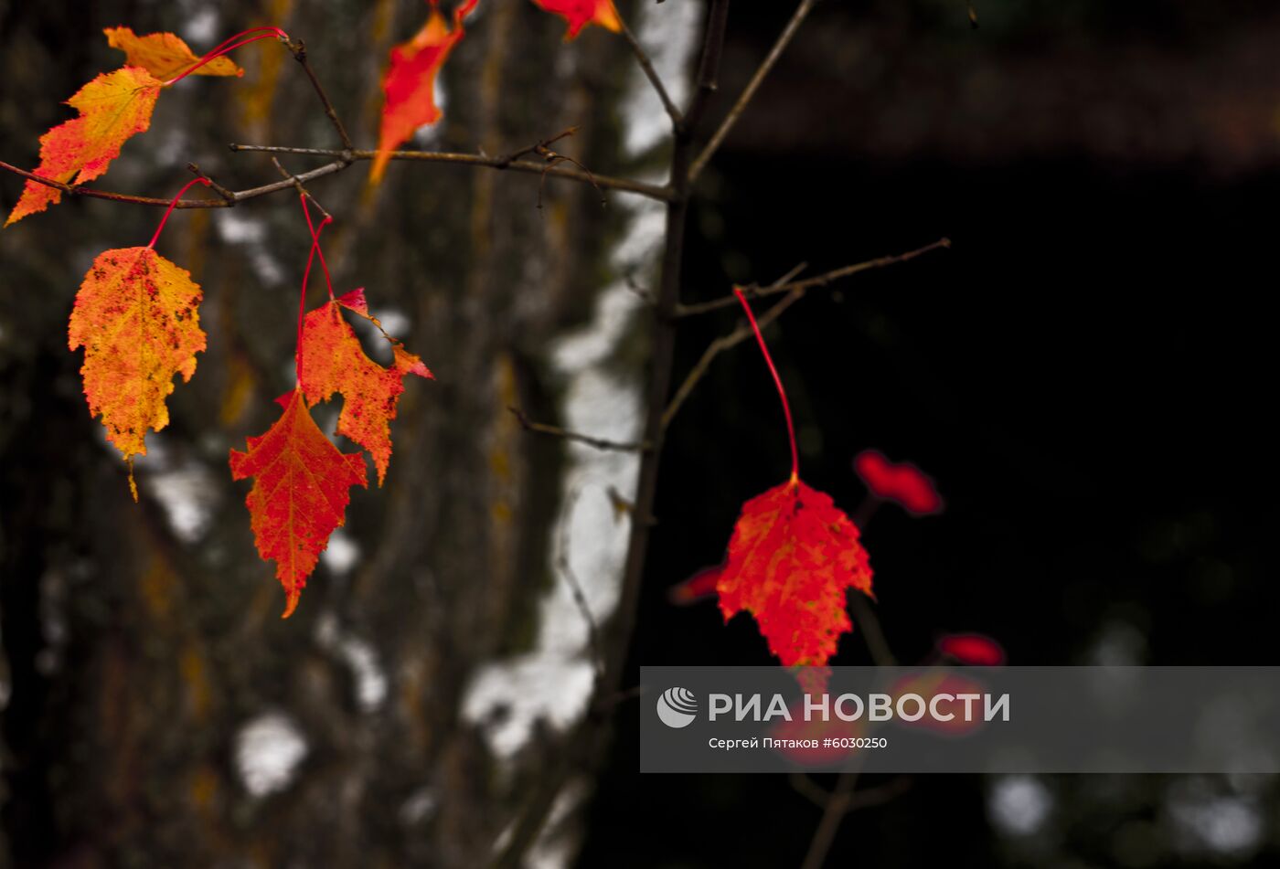 Усадьба Кусково после реставрации