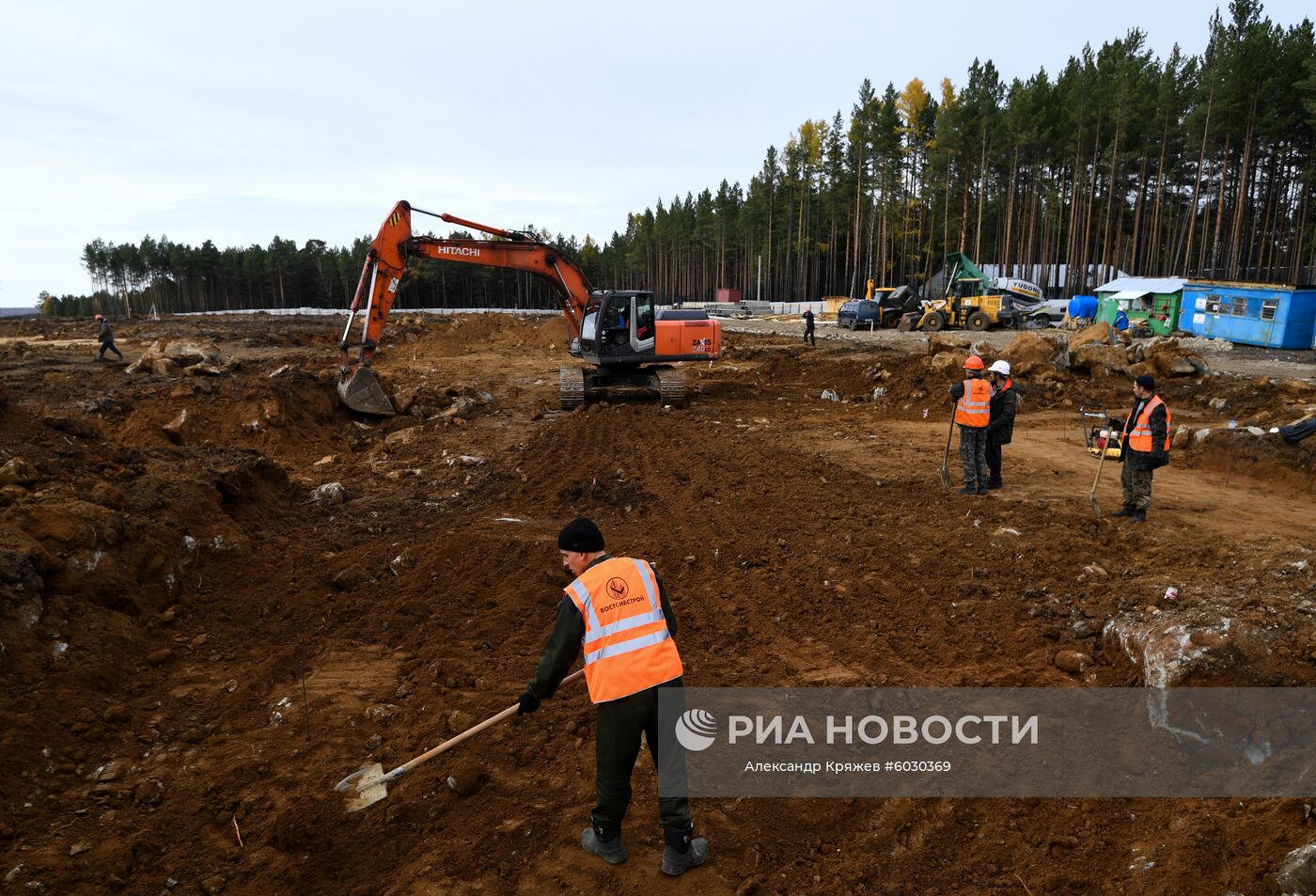 Котлован в сосновом бору