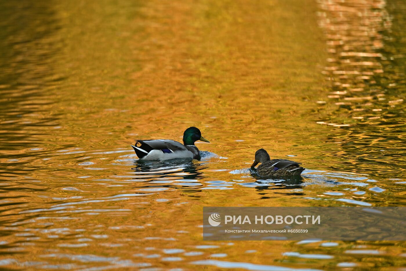 Осень в Крыму