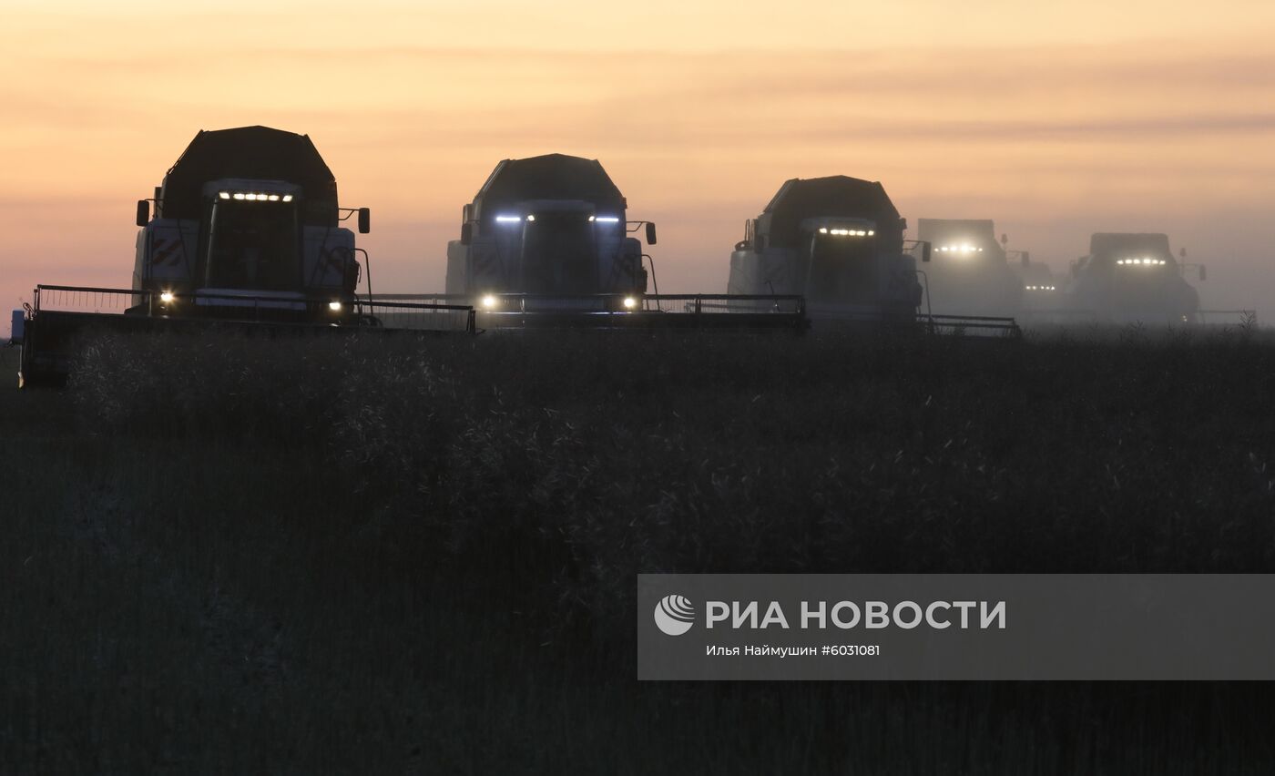 Уборка урожая рапса в Красноярском крае