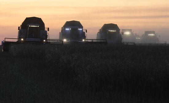 Уборка урожая рапса в Красноярском крае