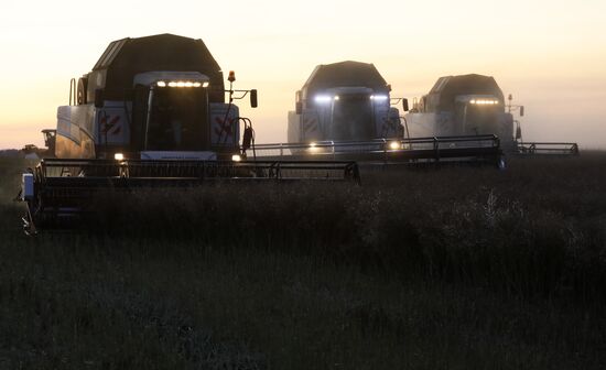 Уборка урожая рапса в Красноярском крае