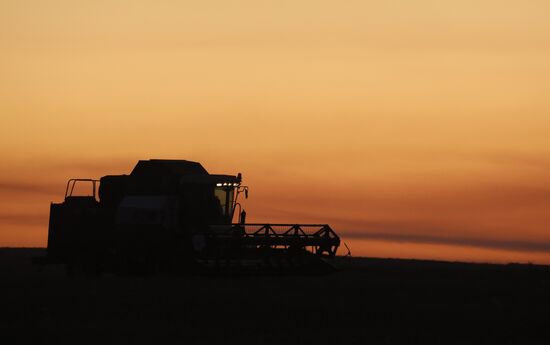 Уборка урожая рапса в Красноярском крае