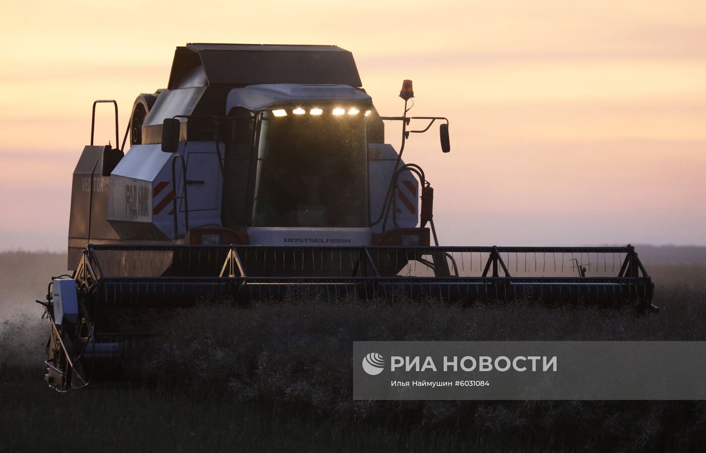 Уборка урожая рапса в Красноярском крае