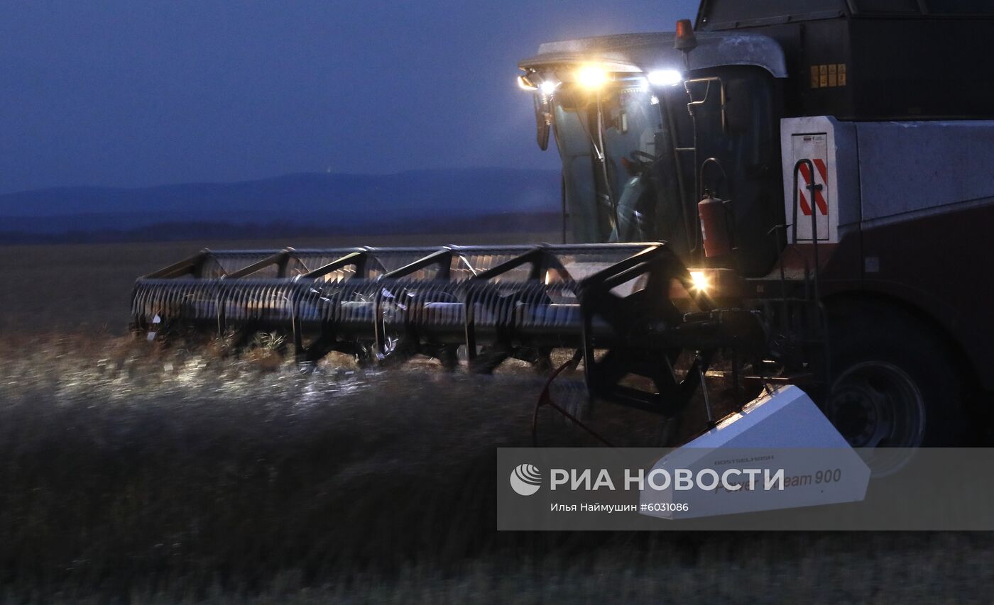 Уборка урожая рапса в Красноярском крае