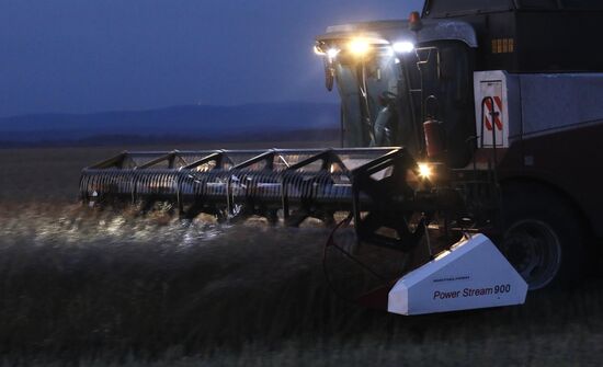 Уборка урожая рапса в Красноярском крае