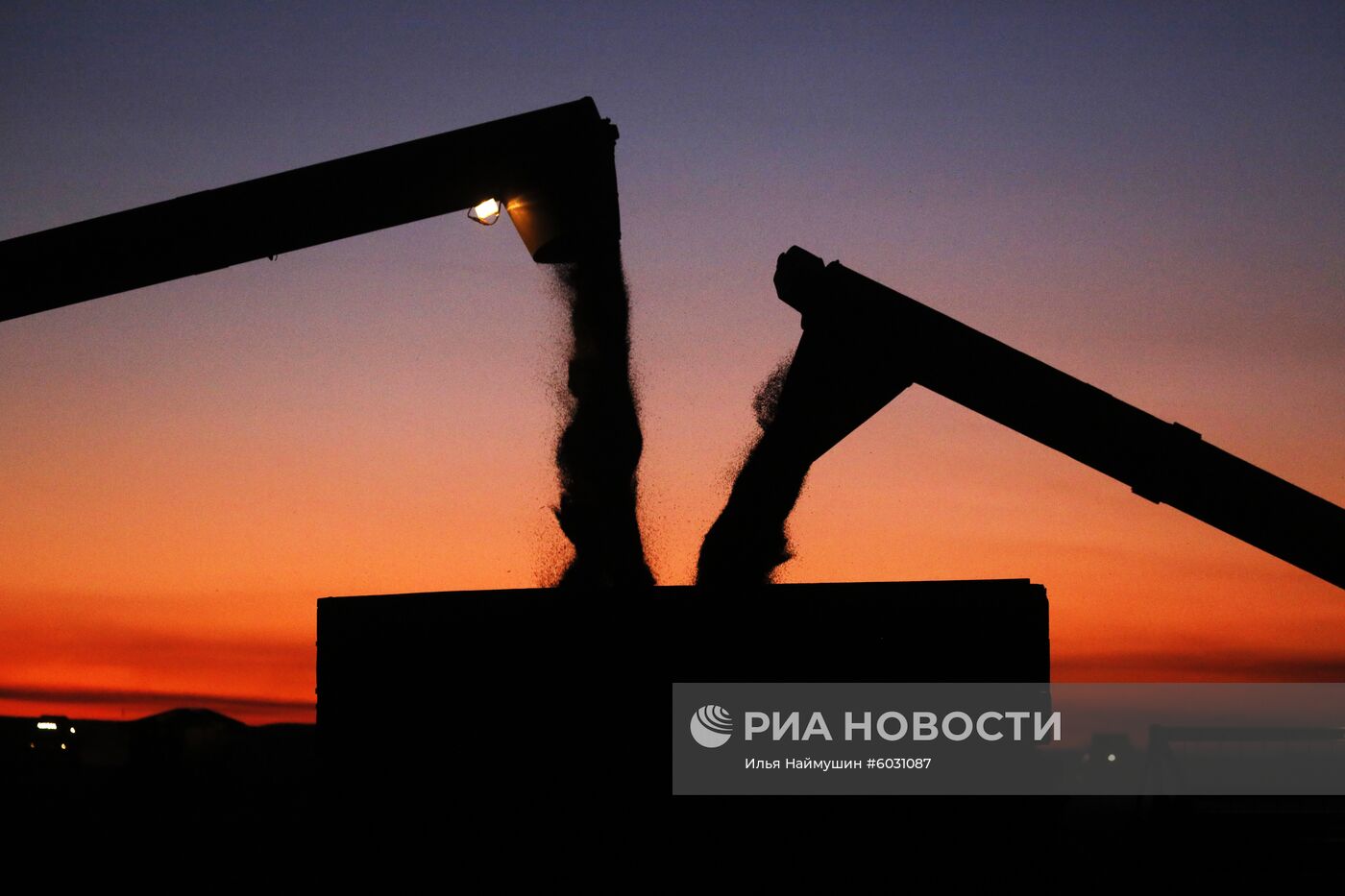 Уборка урожая рапса в Красноярском крае