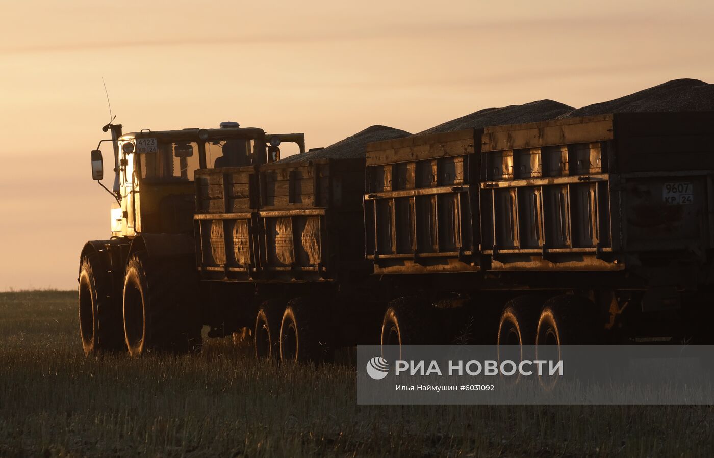 Уборка урожая рапса в Красноярском крае