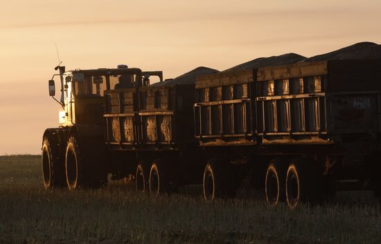 Уборка урожая рапса в Красноярском крае