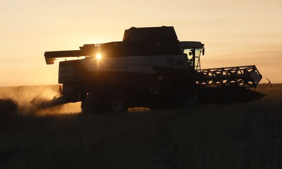 Уборка урожая рапса в Красноярском крае