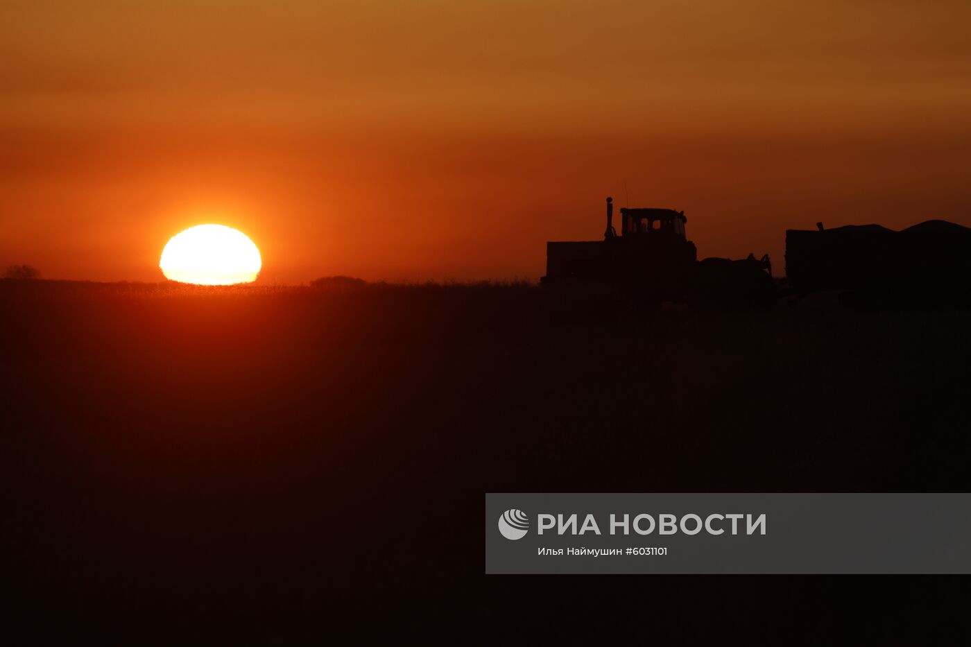 Уборка урожая рапса в Красноярском крае