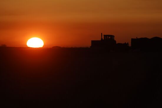 Уборка урожая рапса в Красноярском крае