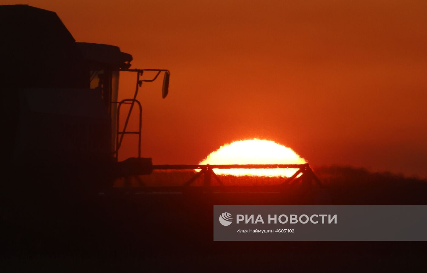 Уборка урожая рапса в Красноярском крае