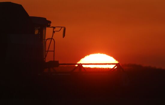 Уборка урожая рапса в Красноярском крае