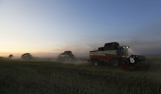 Уборка урожая рапса в Красноярском крае