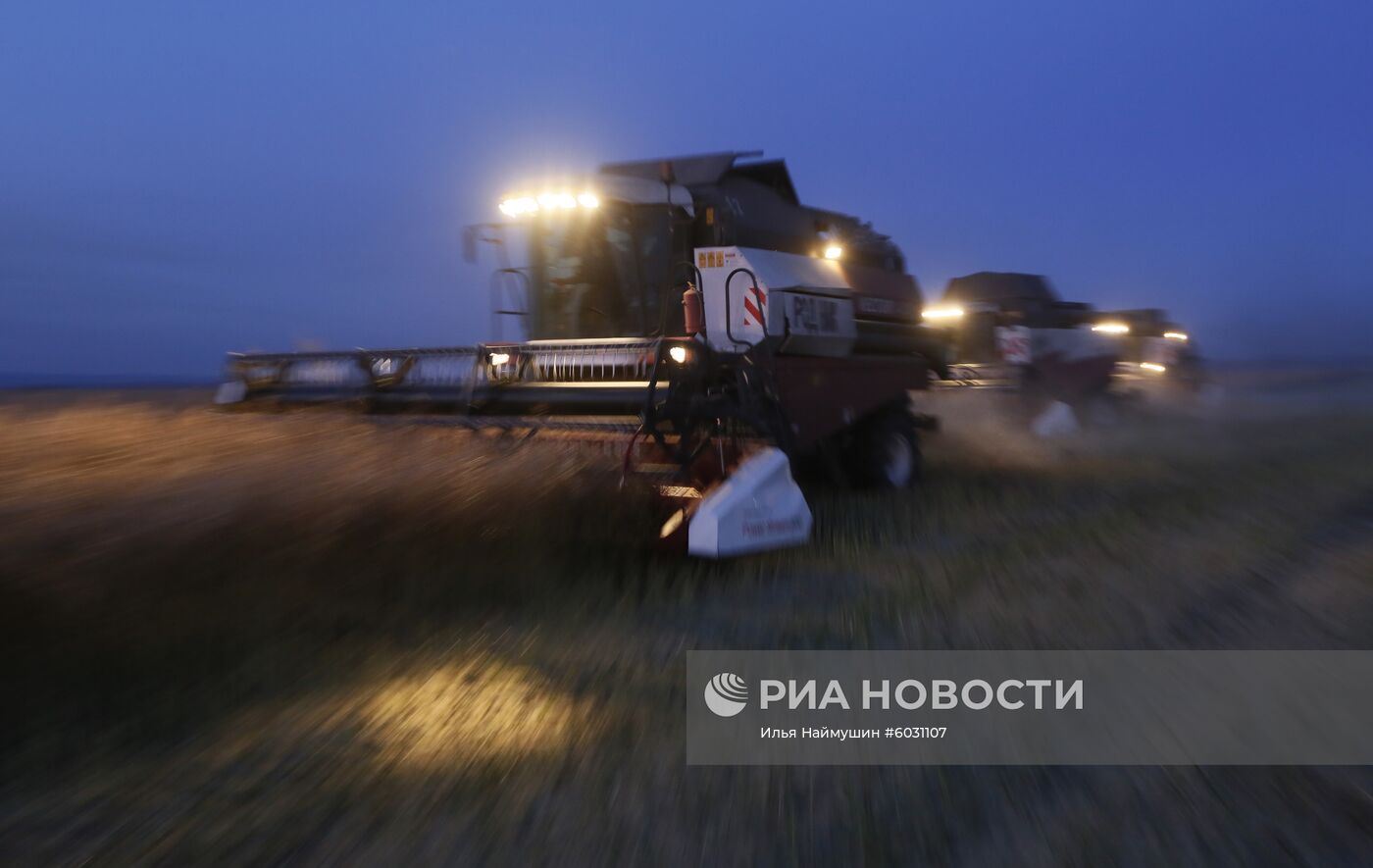 Уборка урожая рапса в Красноярском крае