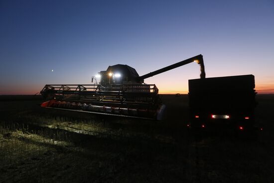 Уборка урожая рапса в Красноярском крае