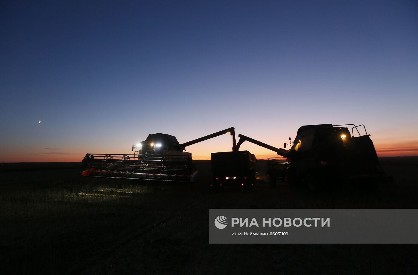 Уборка урожая рапса в Красноярском крае