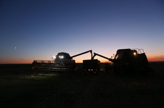 Уборка урожая рапса в Красноярском крае