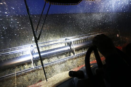 Уборка урожая рапса в Красноярском крае