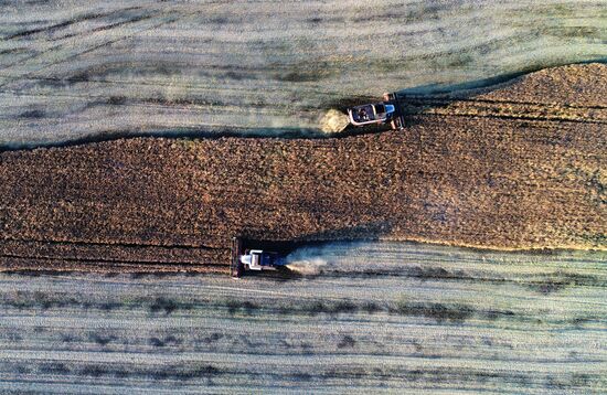Уборка урожая рапса в Красноярском крае