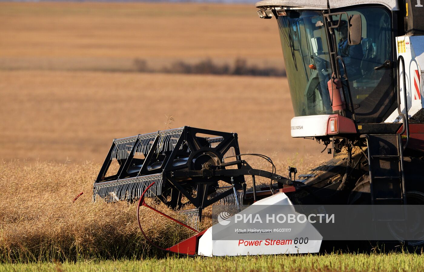 Уборка урожая рапса в Красноярском крае