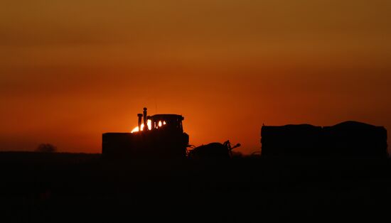 Уборка урожая рапса в Красноярском крае