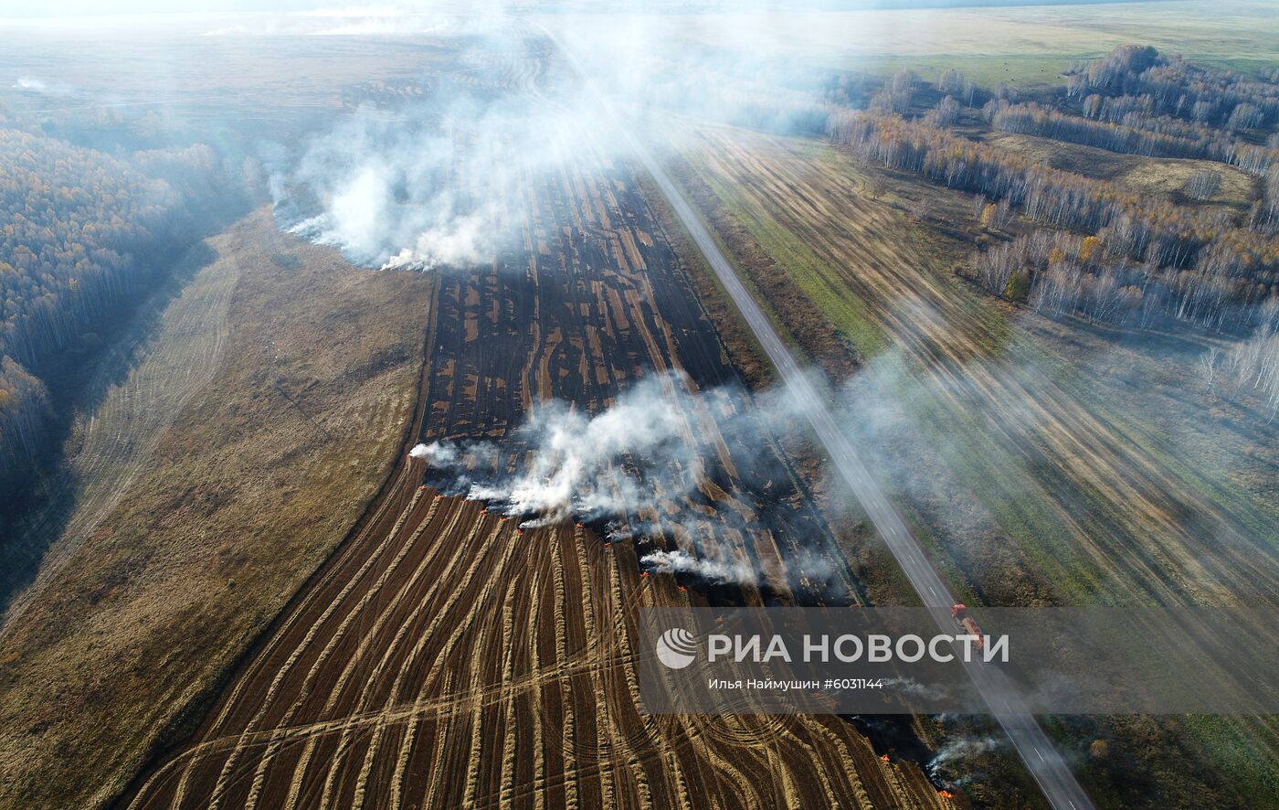 Пал соломы после уборки урожая в Красноярском крае