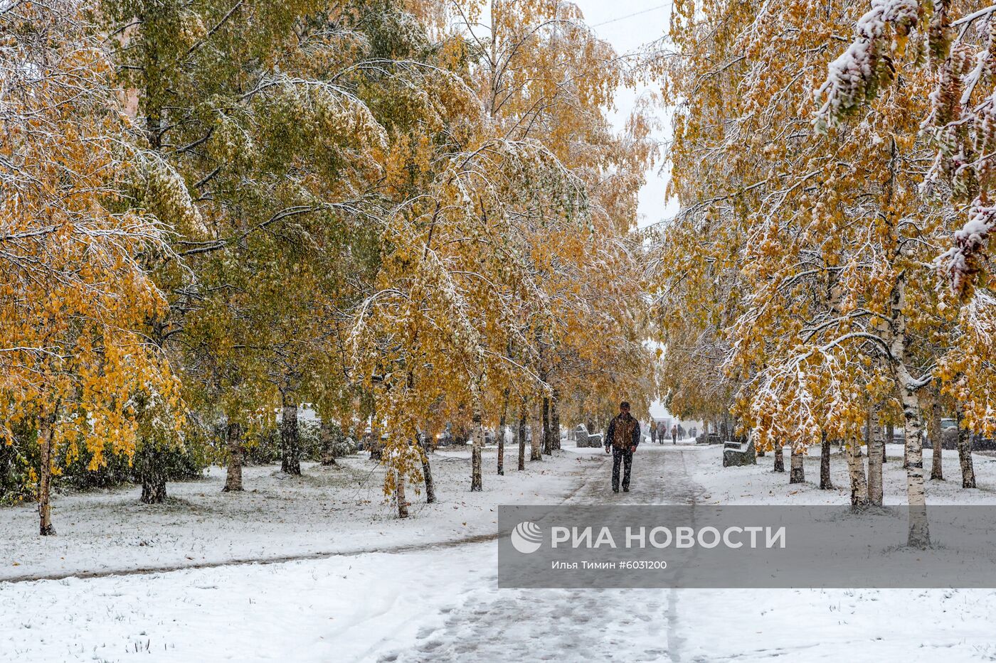 Снег в Петрозаводске