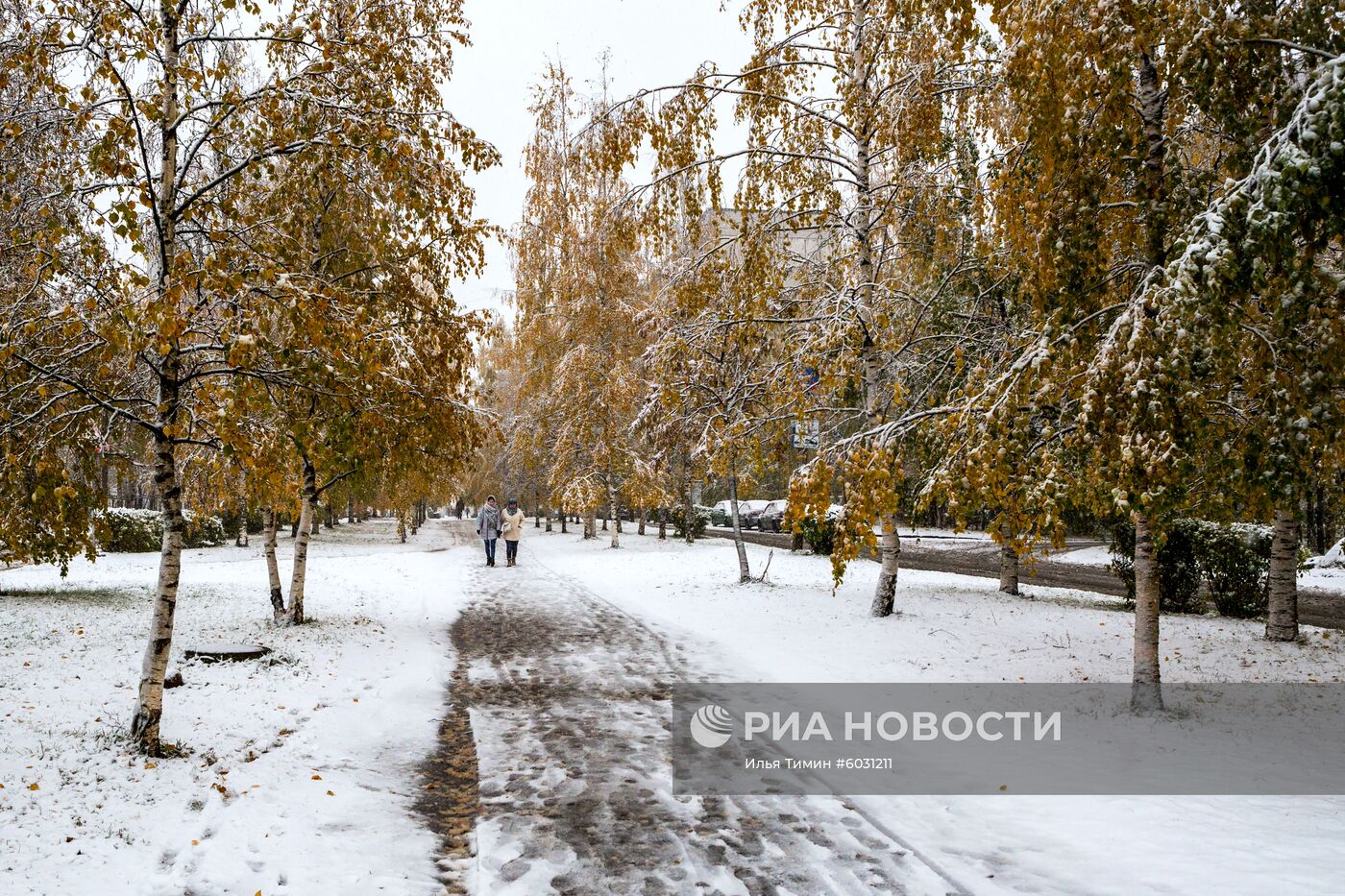 Снег в Петрозаводске