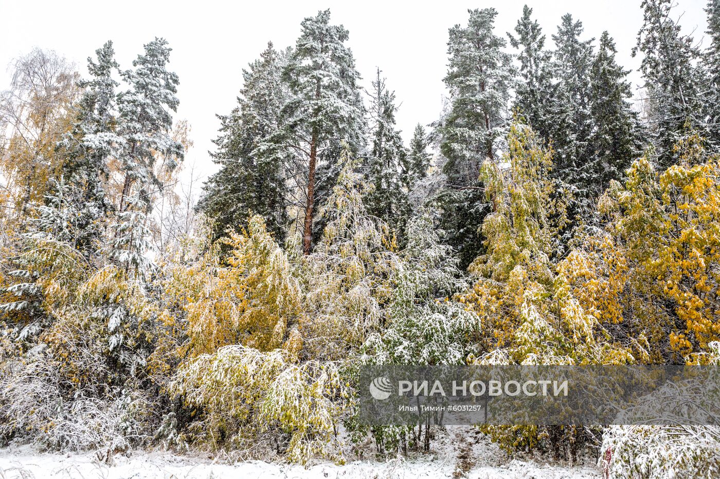 Снег в Петрозаводске