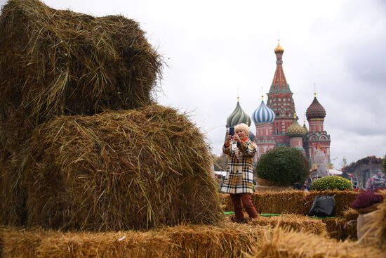 Фестиваль "Золотая осень"