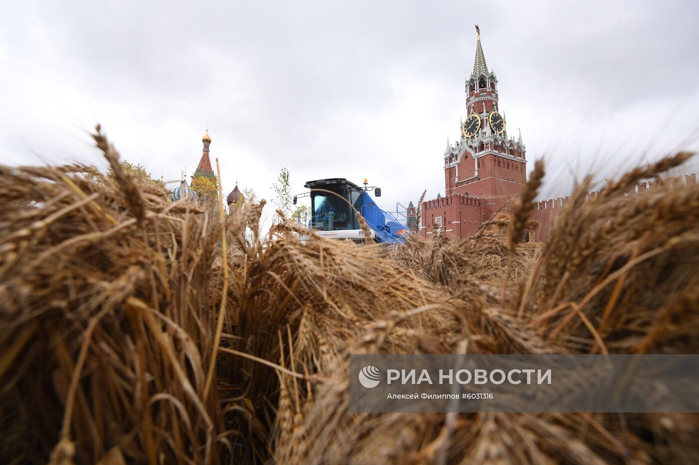 Фестиваль "Золотая осень"