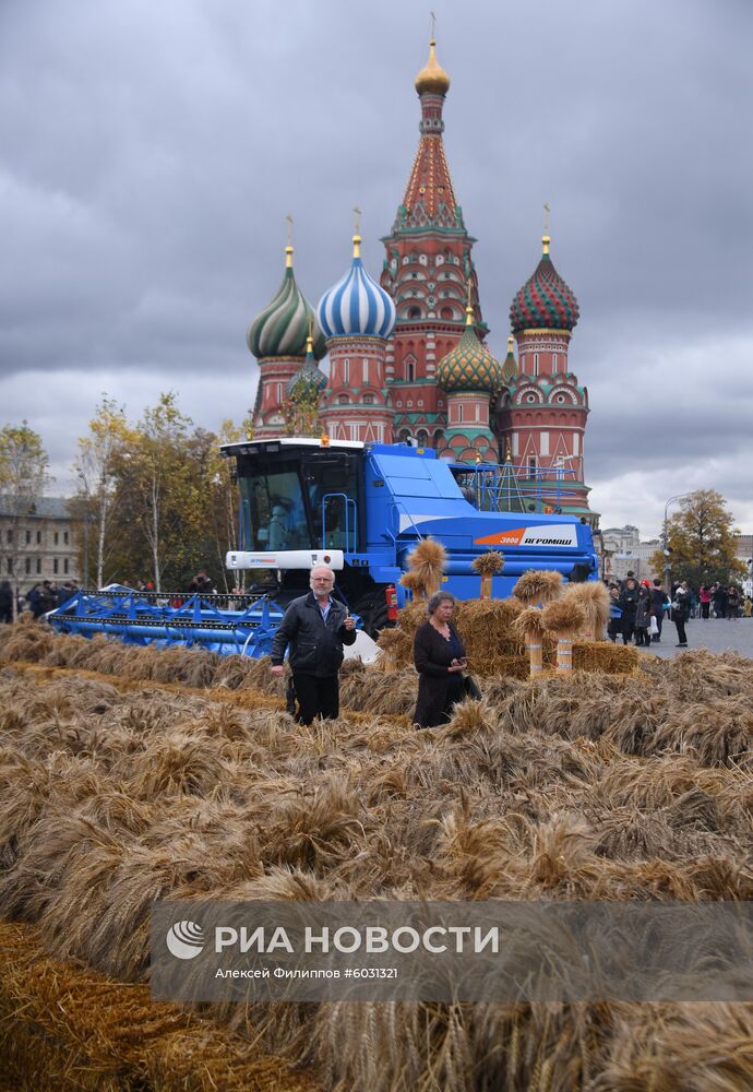 Фестиваль "Золотая осень"