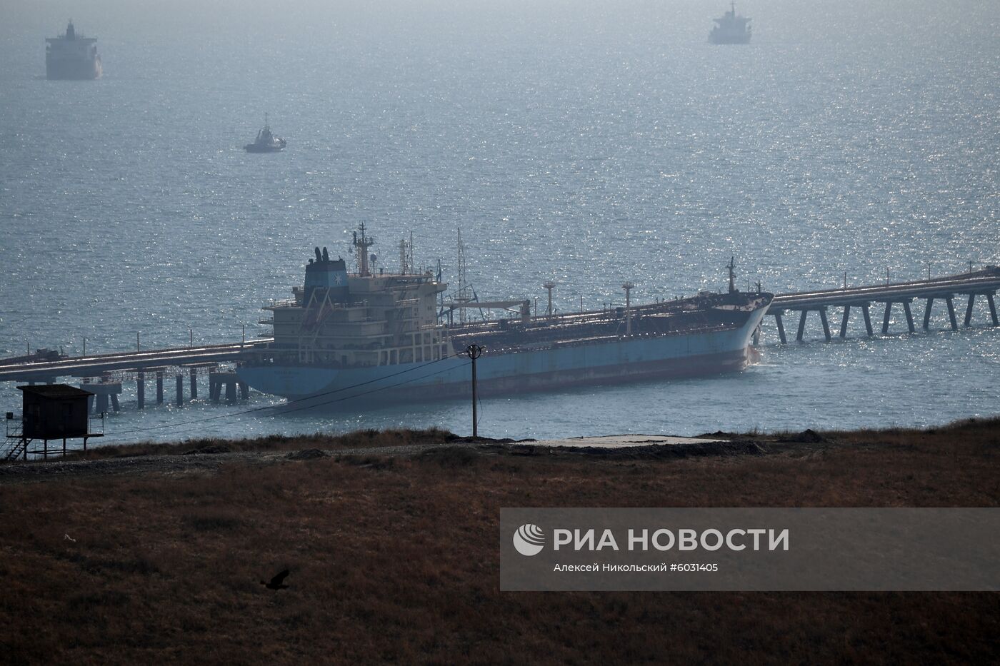 Рабочая поездка президента РФ В. Путина в Краснодарский край (Таманский полуостров)