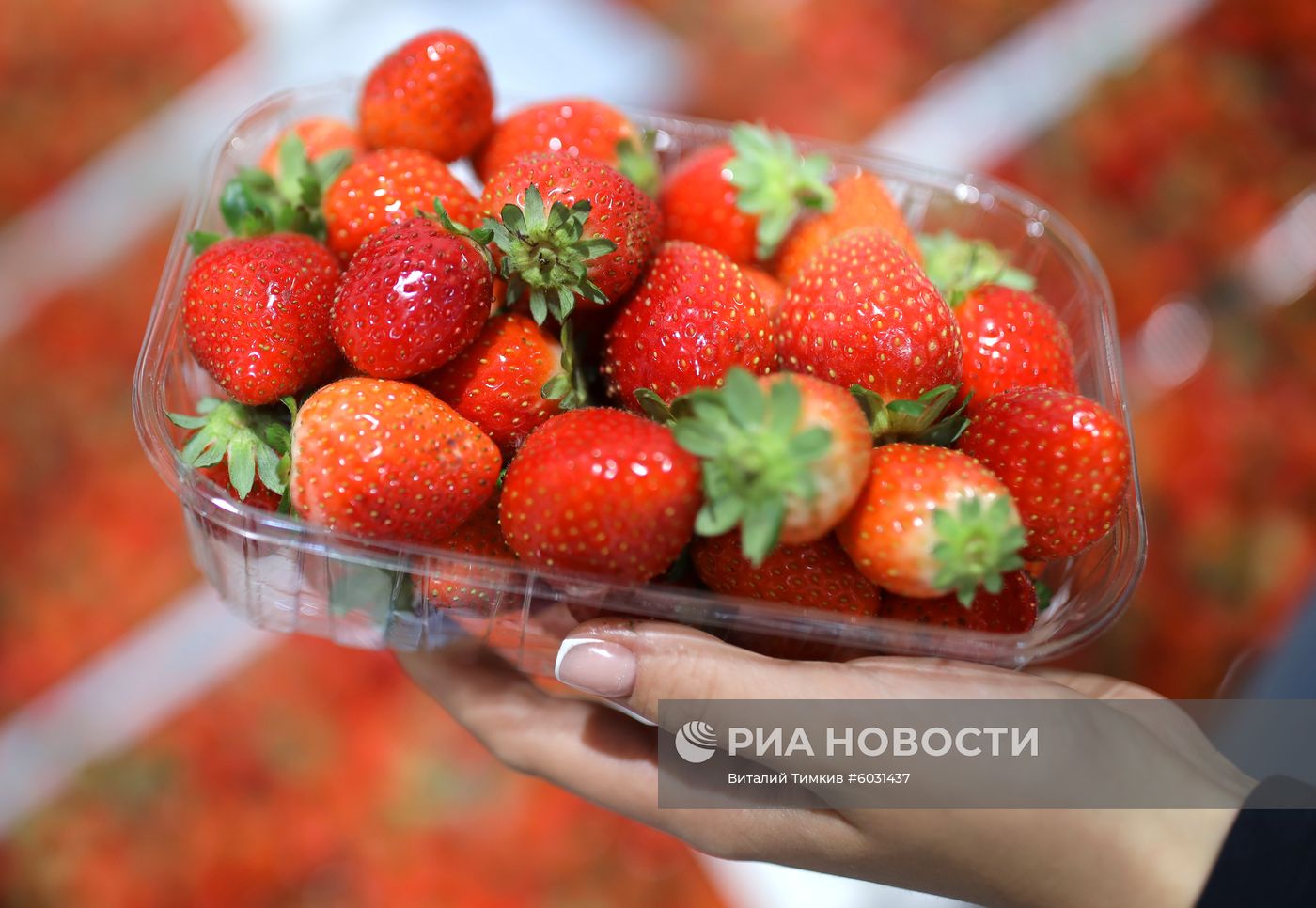 Агропромышленная выставка "Кубанская Ярмарка" 