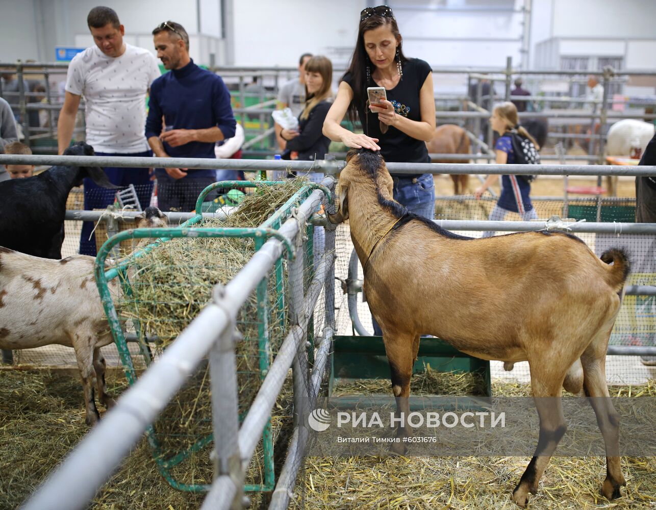 Агропромышленная выставка "Кубанская Ярмарка" 