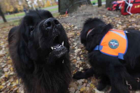 Учения добровольцев аварийно-спасательных формирований