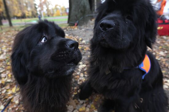 Учения добровольцев аварийно-спасательных формирований