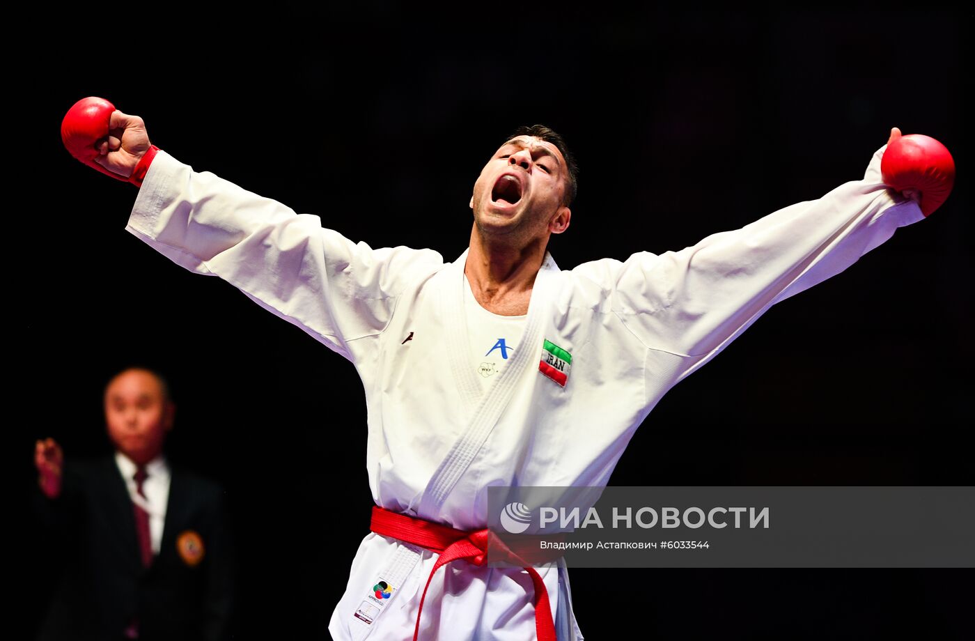 Карате. Этап Премьер-лиги Karate1