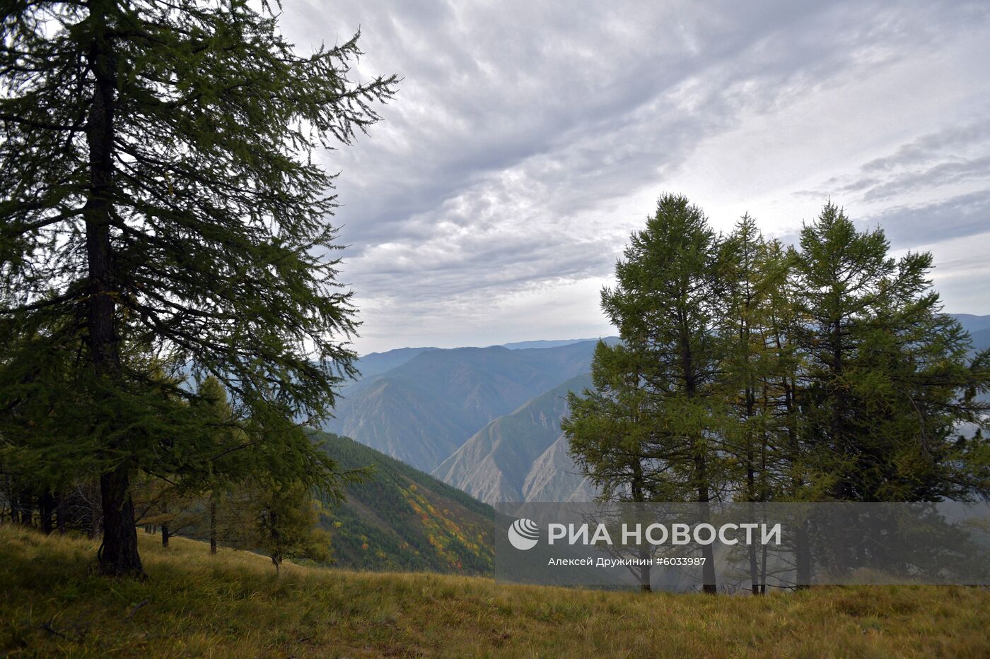 Отдых президента РФ В. Путина в Сибири