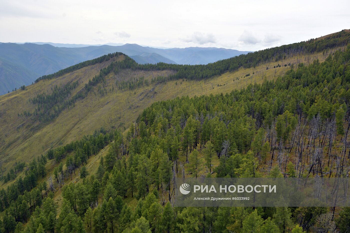 Отдых президента РФ В. Путина в Сибири