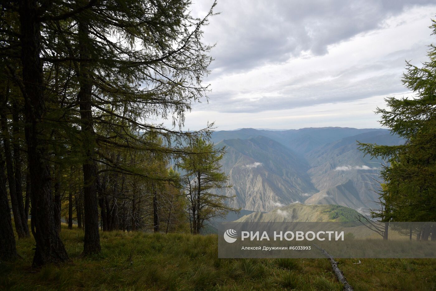 Отдых президента РФ В. Путина в Сибири