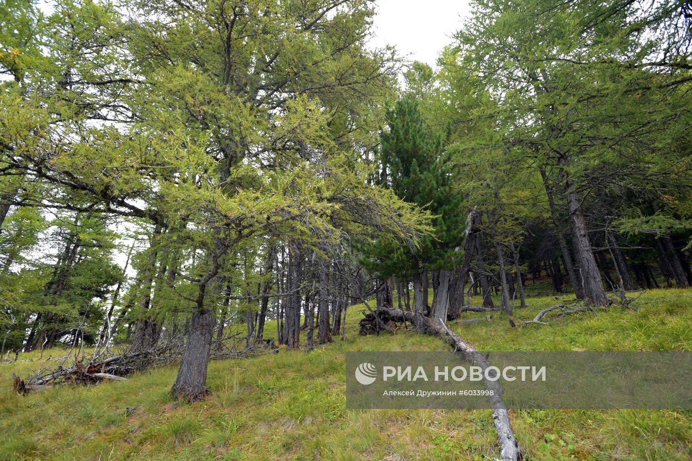 Отдых президента РФ В. Путина в Сибири